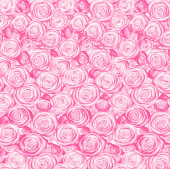 22.5" x 22.5" HOT PINK ROSE SEE THROUGH FLOWER PAPER  20pk,