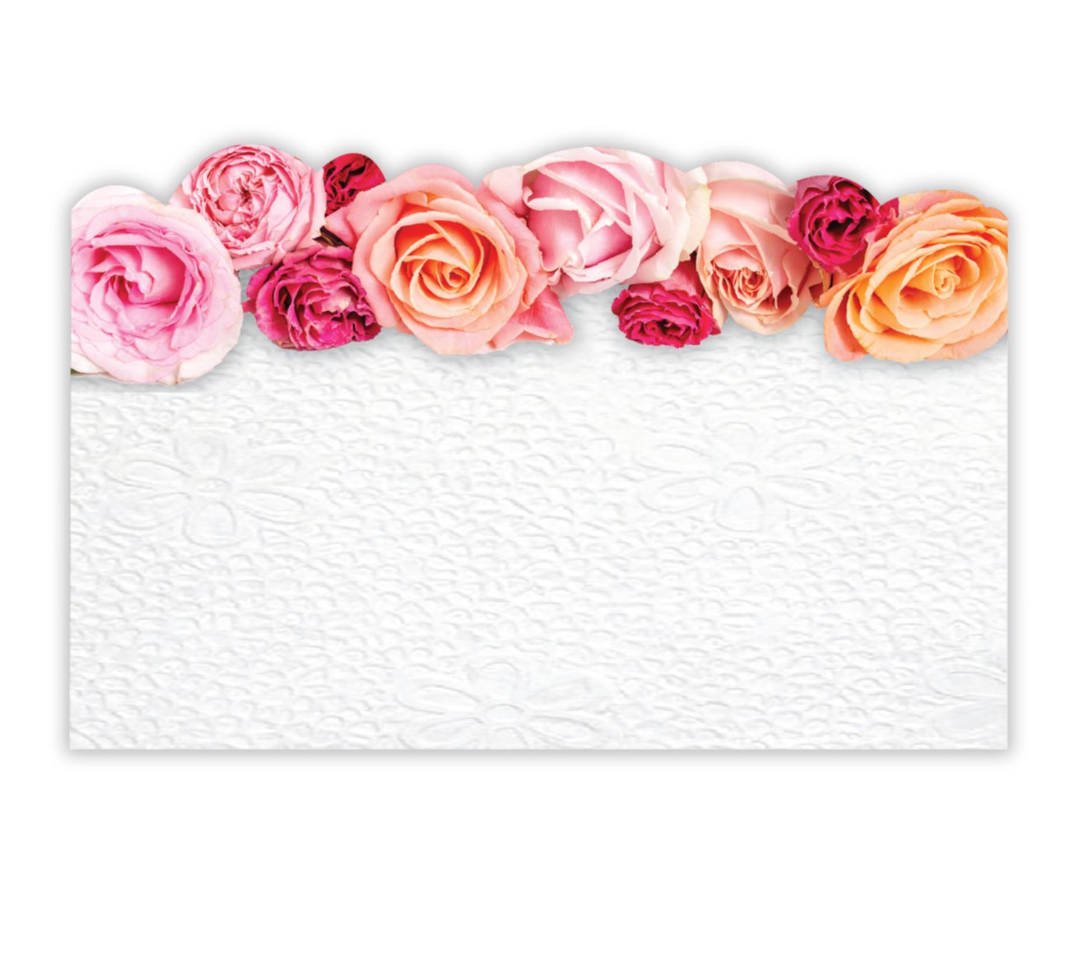NO SENTIMENT CAPRI CARD, ASST. ROSES TOP BORDER