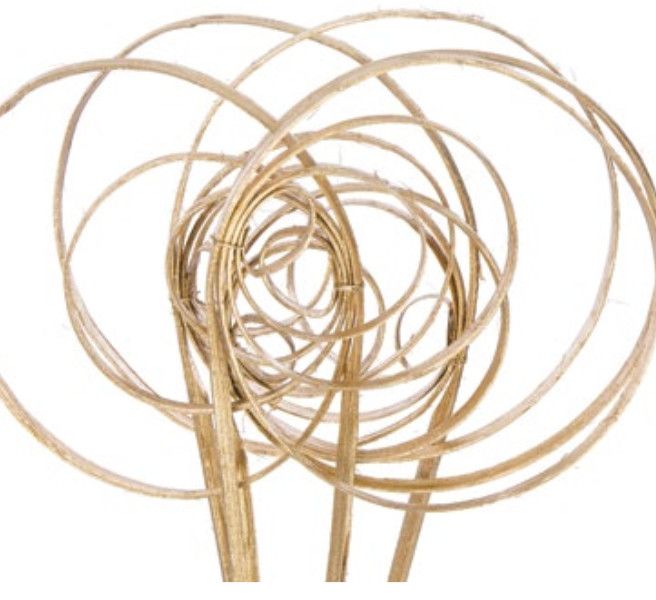 CAN CIRCLE LARGE METALLIC GOLD 5 STEMS