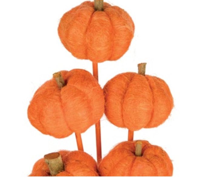 PUMPKINS ORANGE 5 STEMS