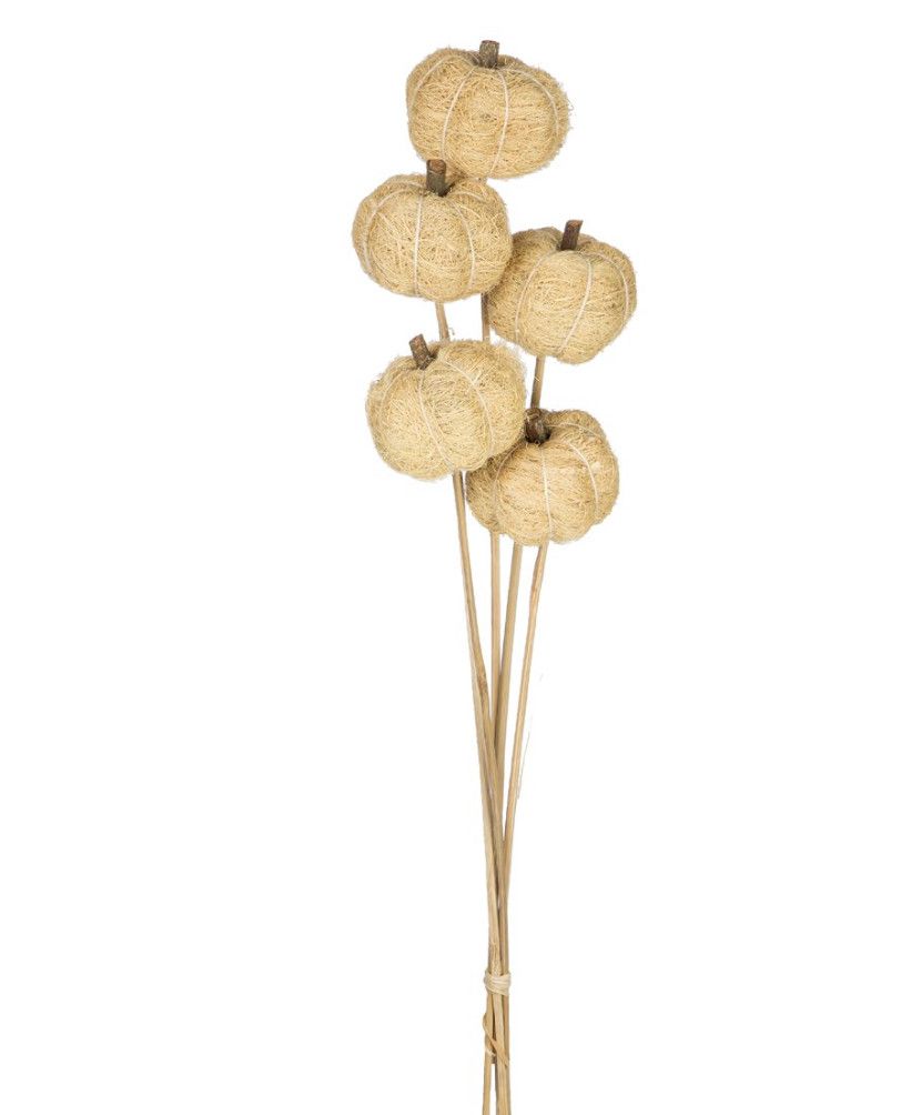 PUMPKINS NATURAL 5 STEMS