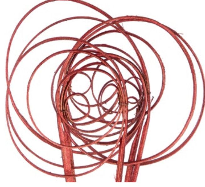 CANE CIRCLE LARGE METALLIC RED 5 STEMS