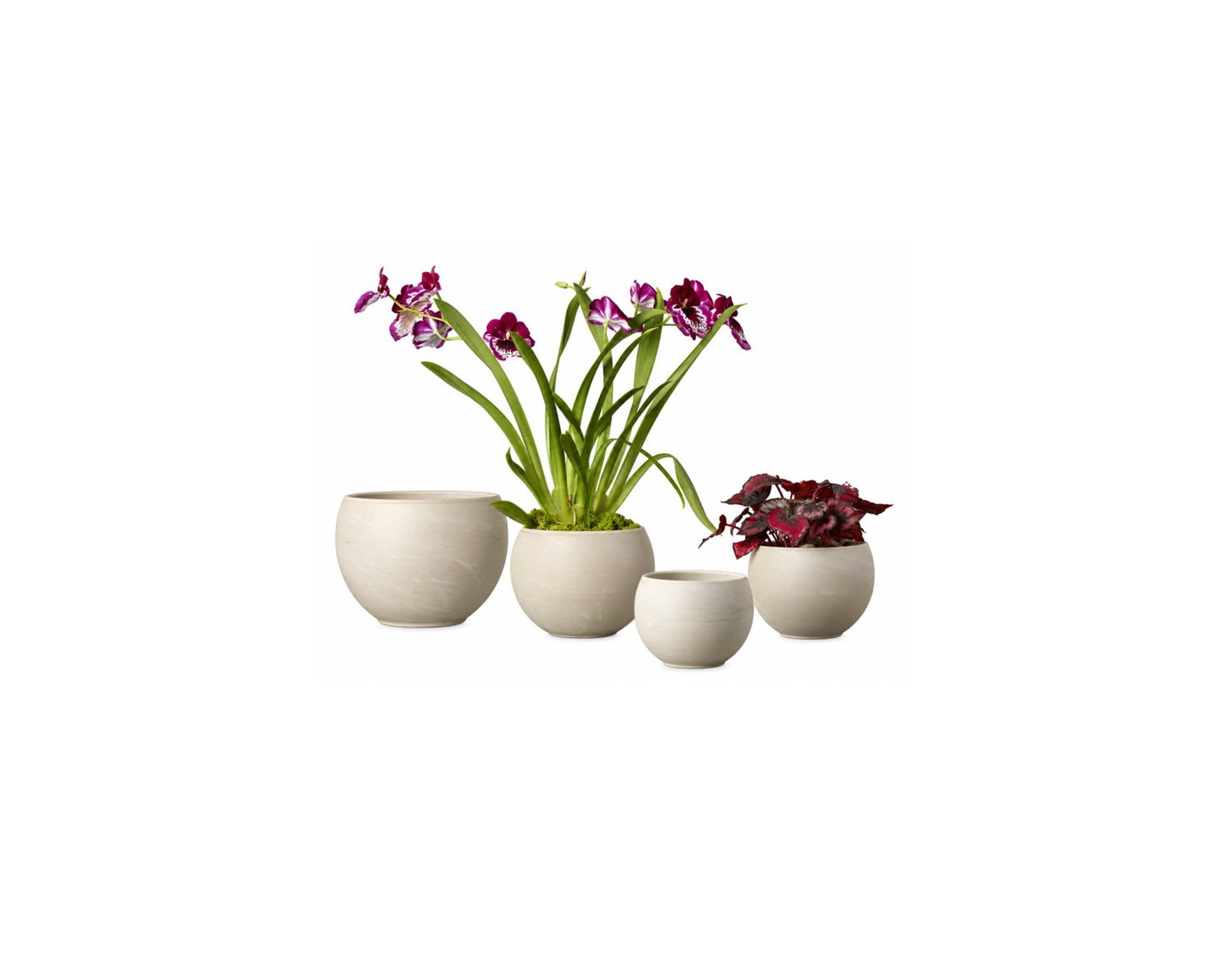 TAN CERAMIC ASTRID POT