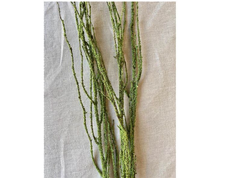3 PCS BIRCH BRANCH MOSS COAT