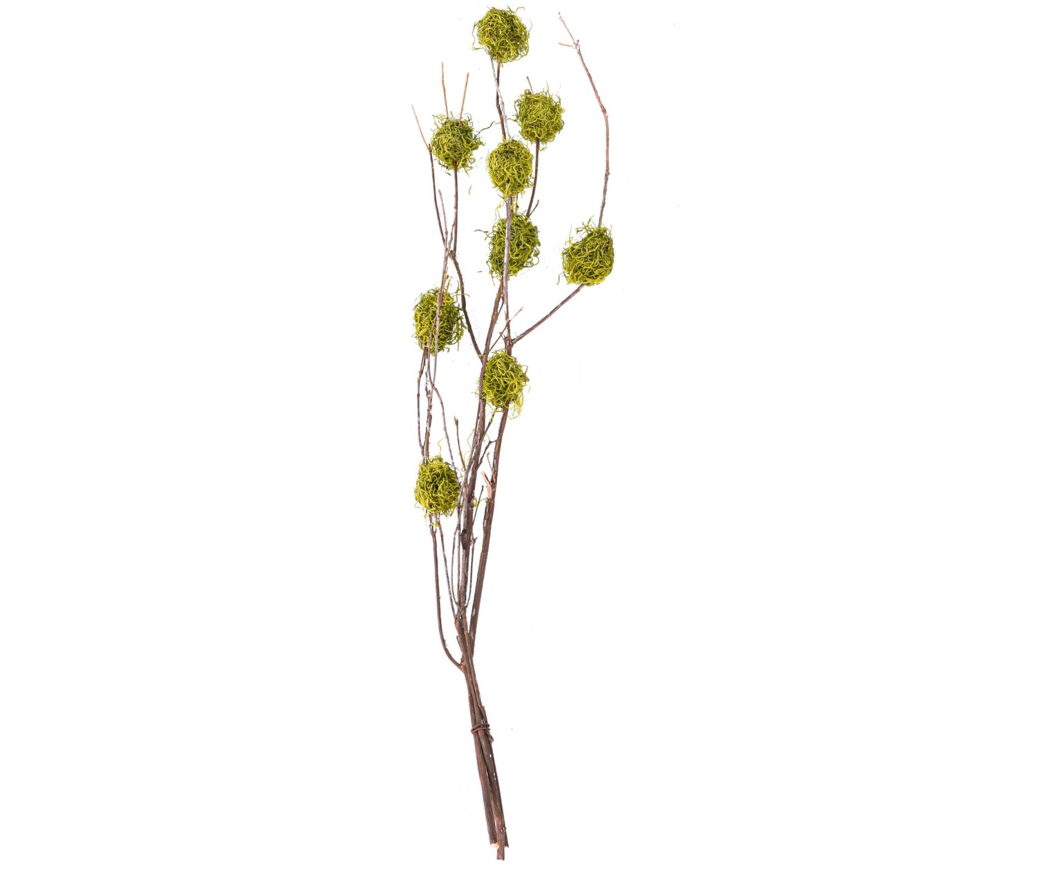 48"L MT LAUREL BRANCH WITH MOSS