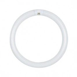 12" Satco S6504 6500K 32-Watt 4 Pin T9 Circline Lamp, Daylight