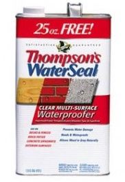 Thompson's Waterseal Clear Multi-Surface Waterproofer - 1 gal
