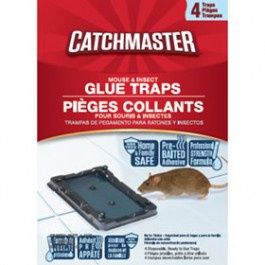 Glue Trap Mouse