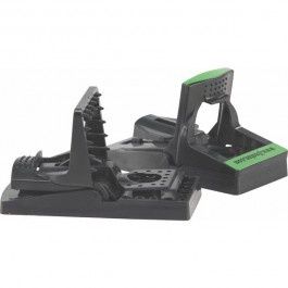 JAWS MOUSE TRAP-2 TRAPS PER  CARD