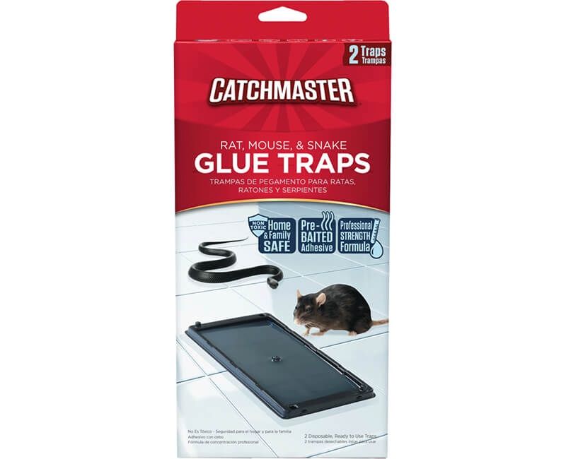 Glue Traps Mouse 2 Traps Big