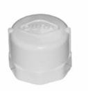 1" THREADED CAPS - PVC - D18351-1