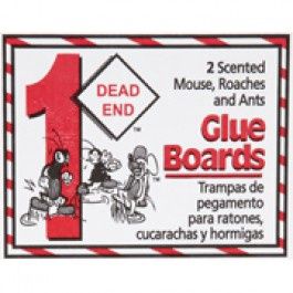 CATCHMASTER 72-96 DEAD END MOUSE &amp; INSECT GLUE BOARDS BULK