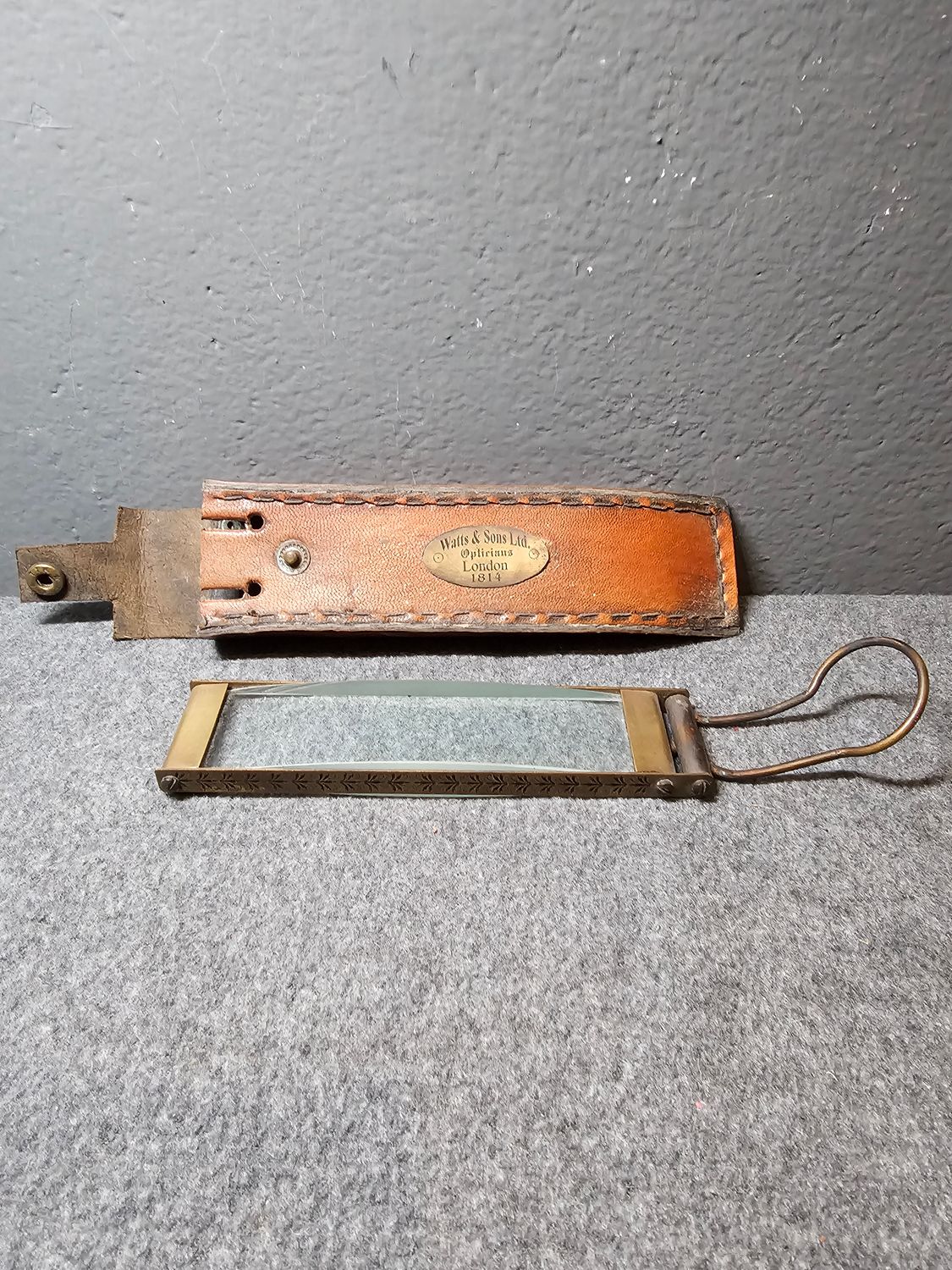 Lupa w skórzanym etui