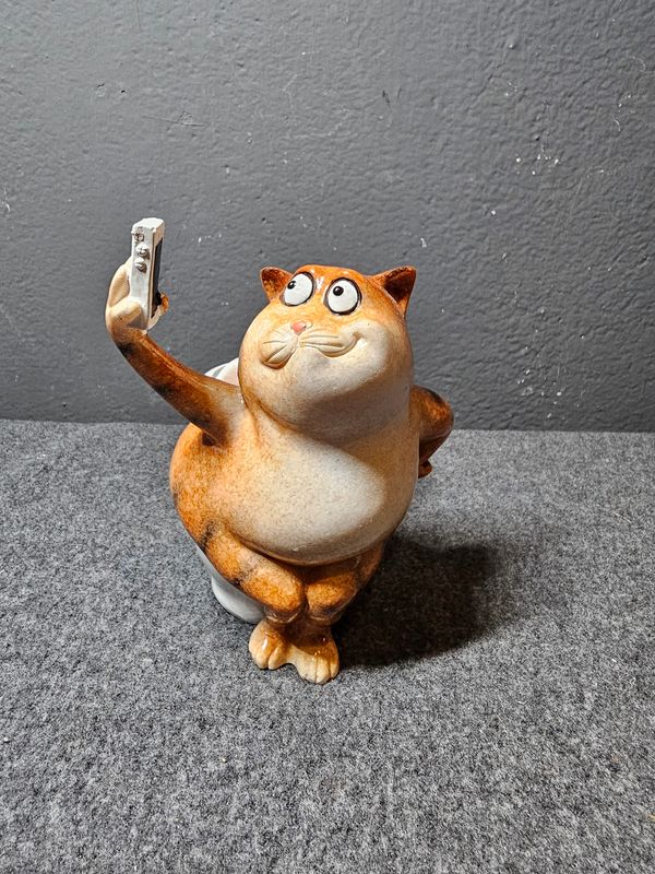 Figurka kot na kibelku robiący selfie