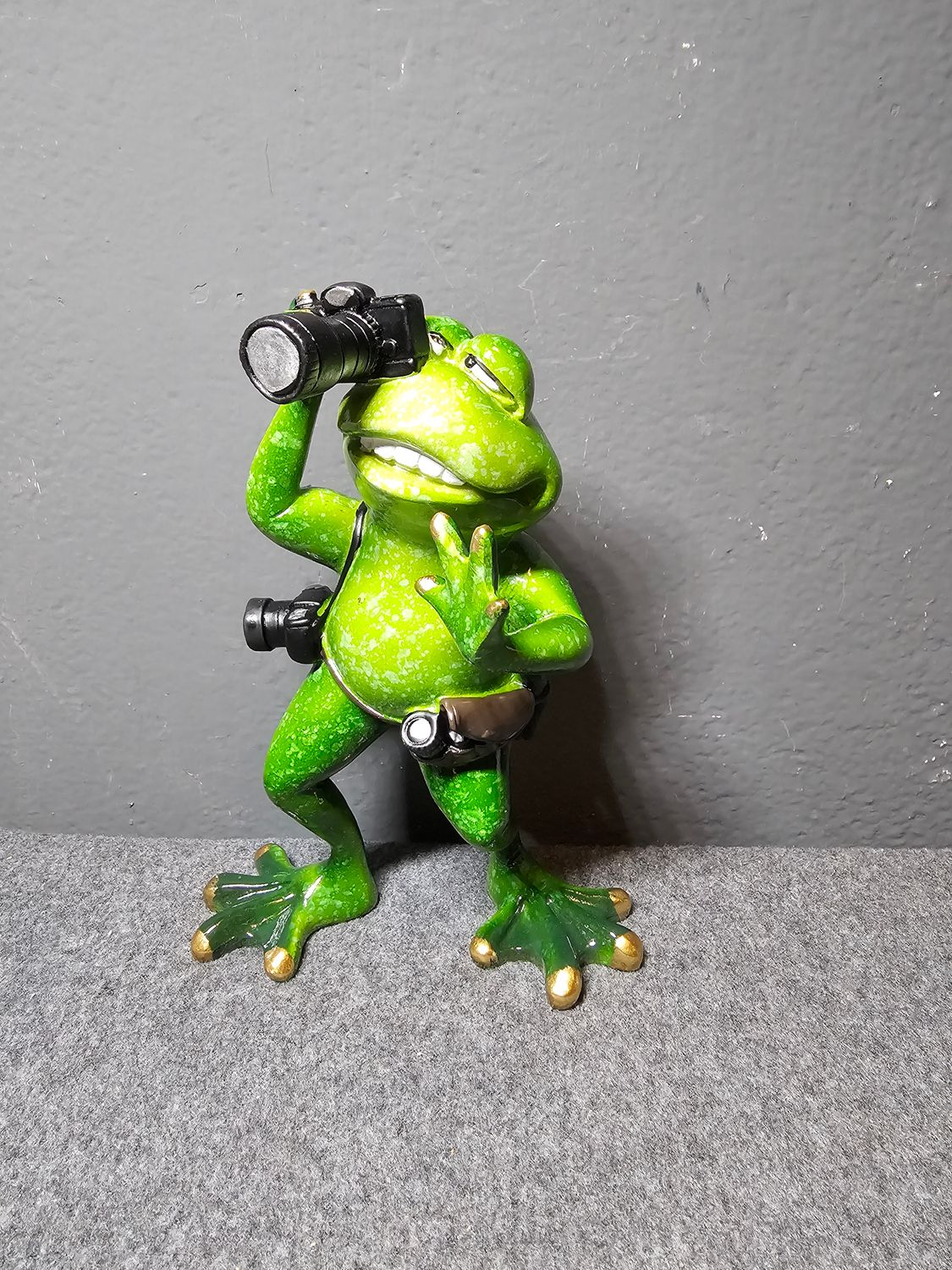 Żaba fotograf