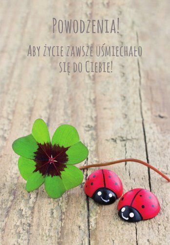 Kartka powodzenia mix wzorów