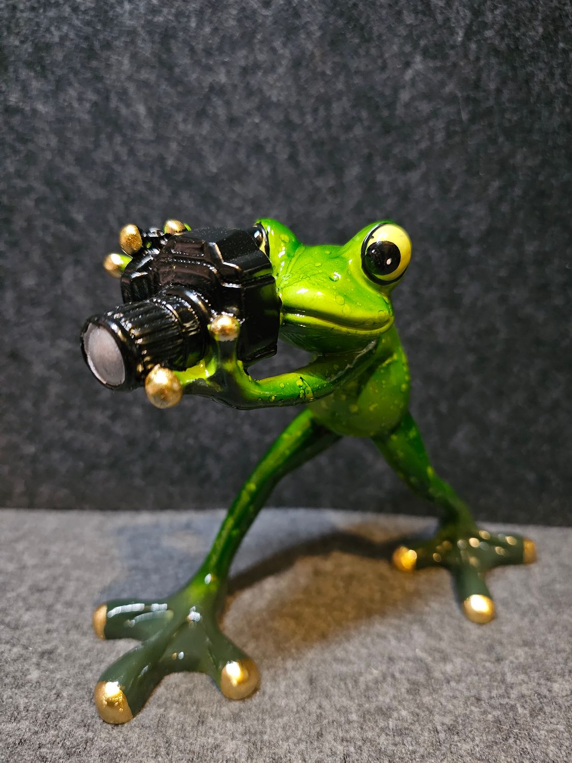 Żaba fotograf