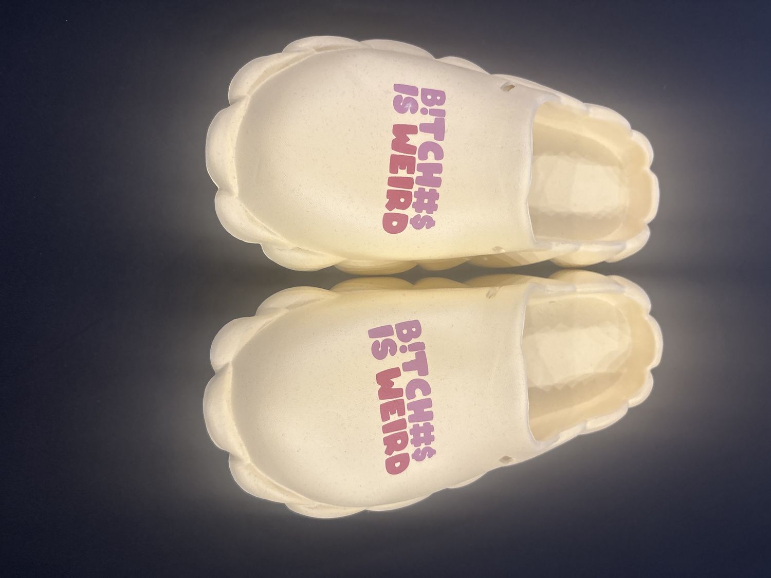 Bitches is weird slippers