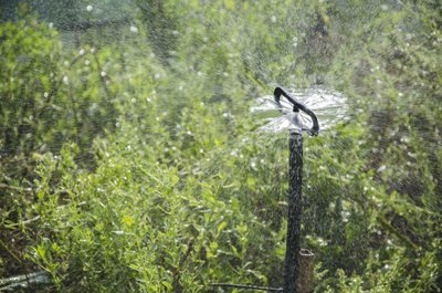 Irrigatore a vaporizzazione