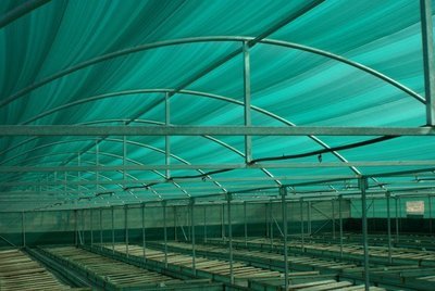 Spiranet Protection (Rotolo 4 mt x 50 mt)
