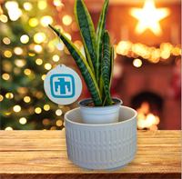 Wood Ornament w/T Bird logo