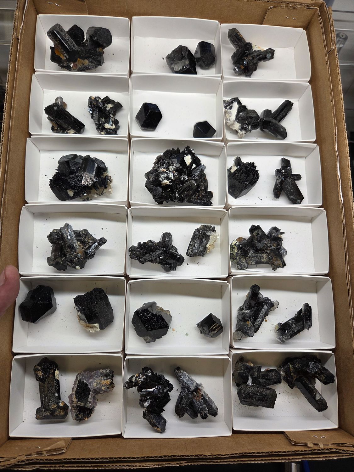 Wholesale Lot – 30 Pieces of Schorl Tourmaline, Erongo Mountains, Namibia Wholesale Lot – 30 Pieces of Schorl Tourmaline, Erongo Mountains, Namibia