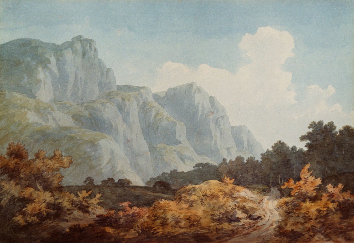SAMPLE. Landscape