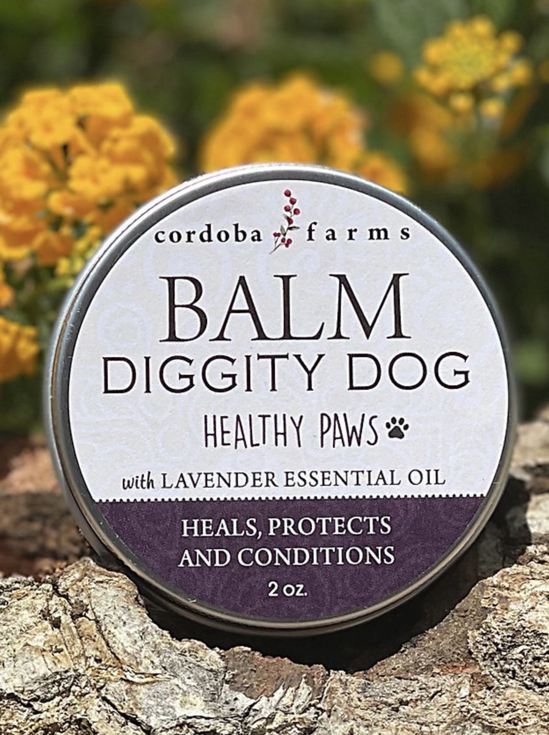 Cordoba Farms Healthy Paws Balm, Size: 2oz Tin