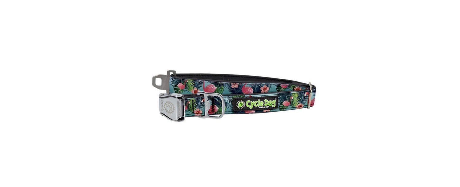 Cycle Dog Collar/Leash - Flamingo, Size: MD
