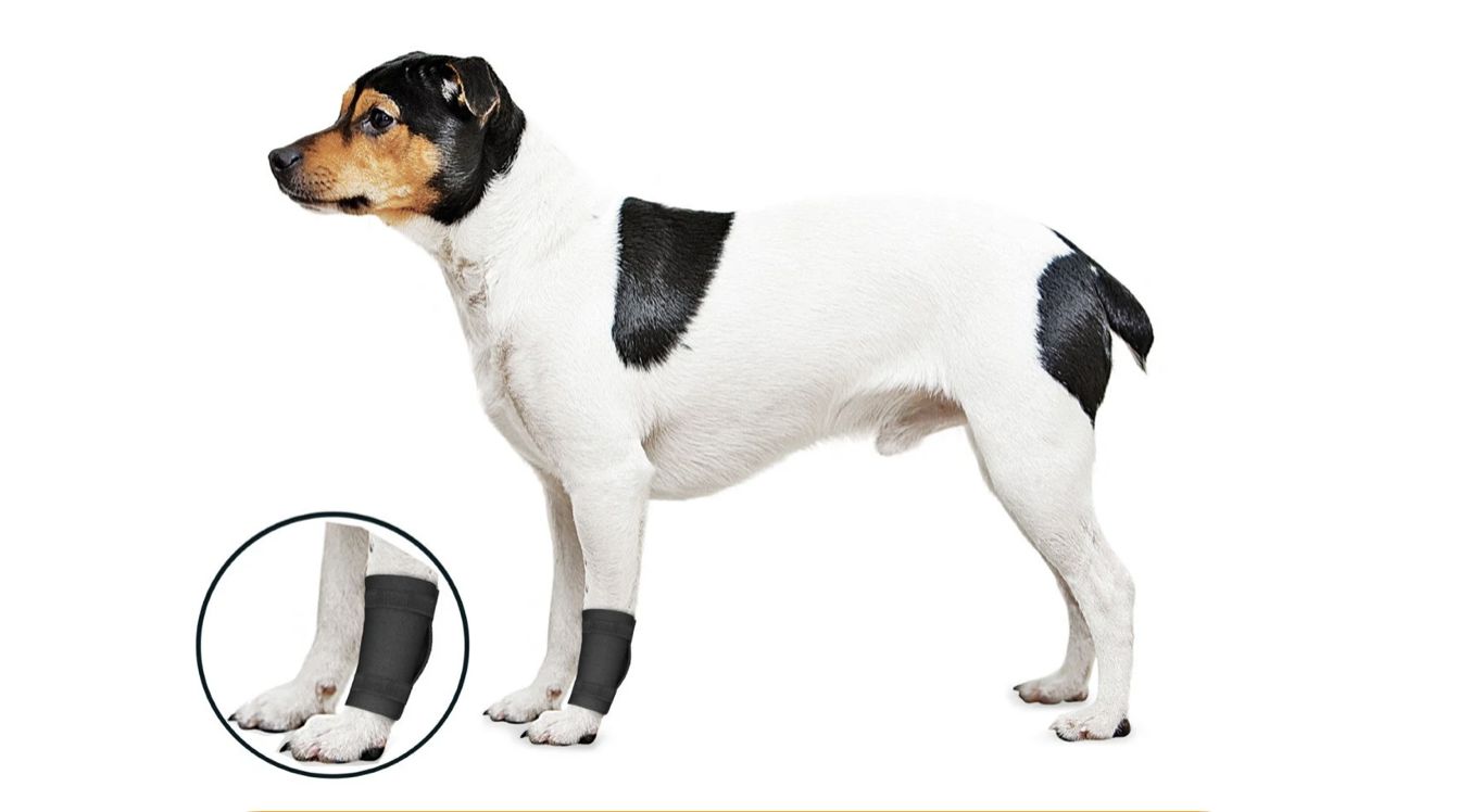 Zenpet Orthowrap Ligament Protector, Size: SM