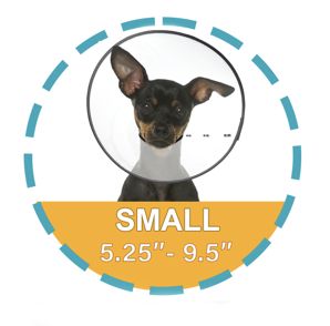 Zenpet E-Clear Plastic Recovery Collar, Size: SM