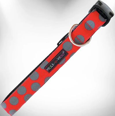 Walk-e-Woo Collar/Leash - Grey Dot On Red