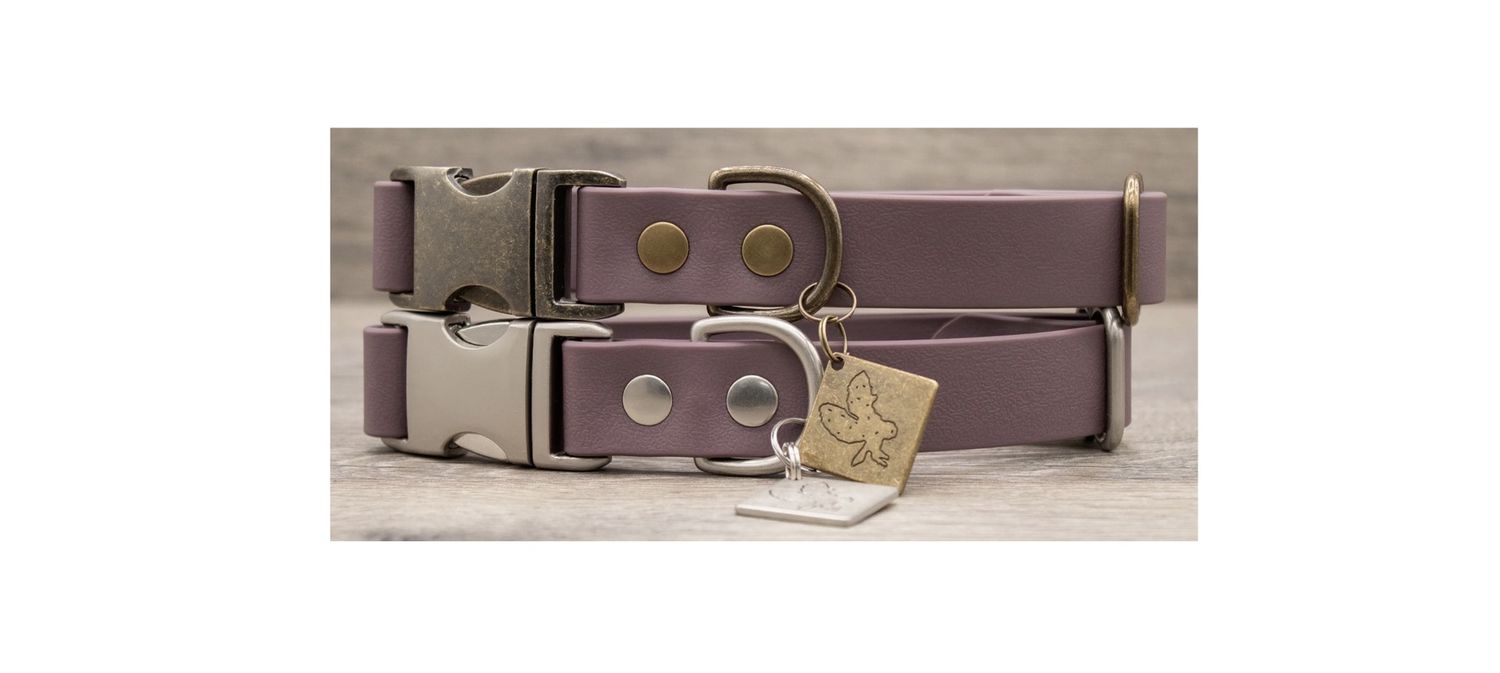 Hoot &amp; Co Collar/Leash - Wisteria, Material: Antique Brass, Size: SM