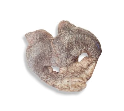 Natural Chews - Hairy Pig Snout