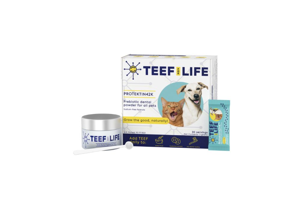 Teef For Life Probiotic Dental Kit, Size: 30 Days
