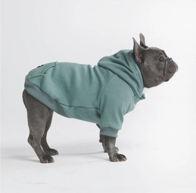 Spark Paws Essential Dog Hoodie - Teal