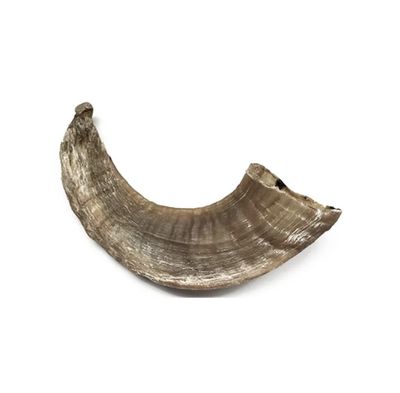 Natural Chews - Lamb Horn