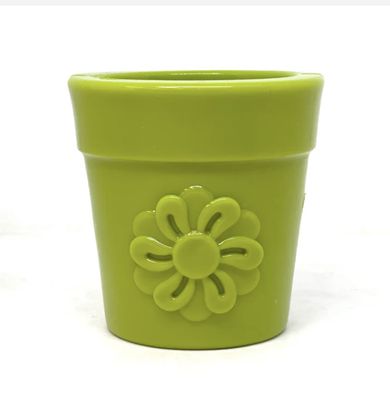 Sodapup Flower Pot
