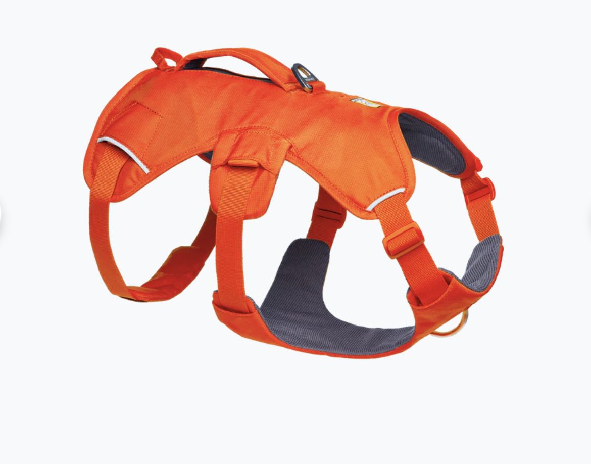 Ruffwear Web Master Harness - Blaze Orange, Size: XS