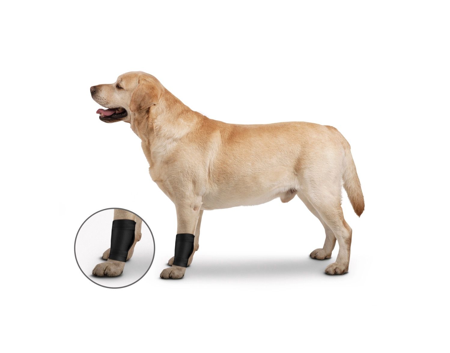 Zenpet Orthowrap Elbow Protector