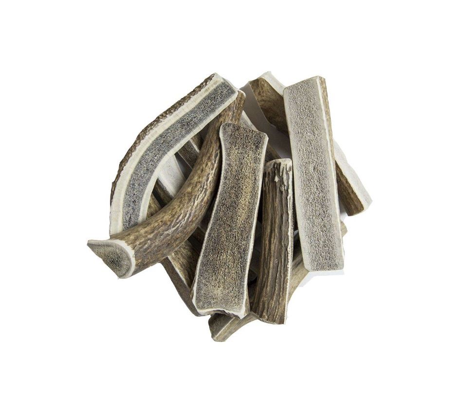 Mountain Top Elk Antlers, Size: MD