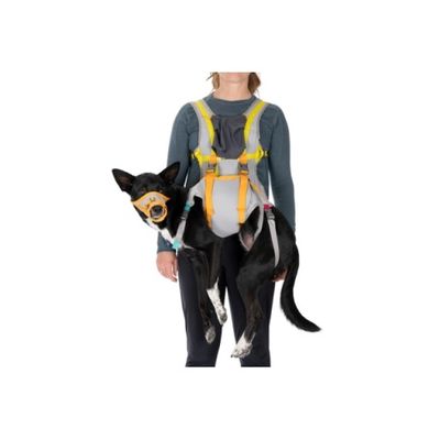 Ruffwear Backtrak Dog Evacuation Kit