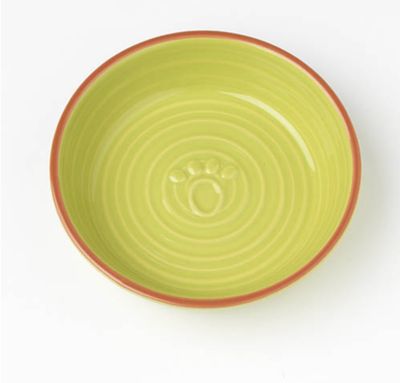 Petrageous Designs Ceramic Bowl - Key West Lime 5.75"