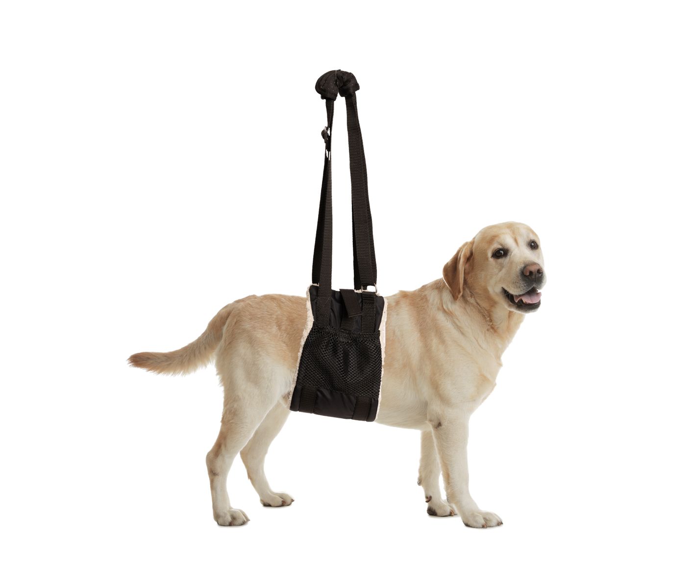 Zenpet Buddy Lift Canine Support &amp; Rehabilitation Sling, Size: MD/LG