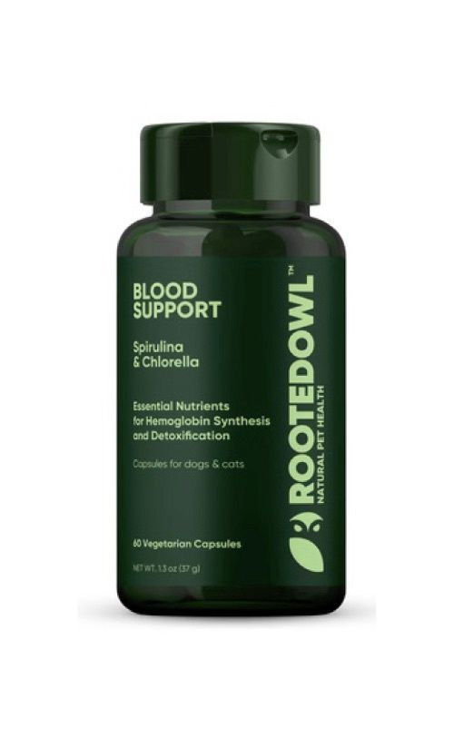 Rooted Owl Blood Support