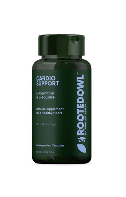 Rooted Owl Cardio Support