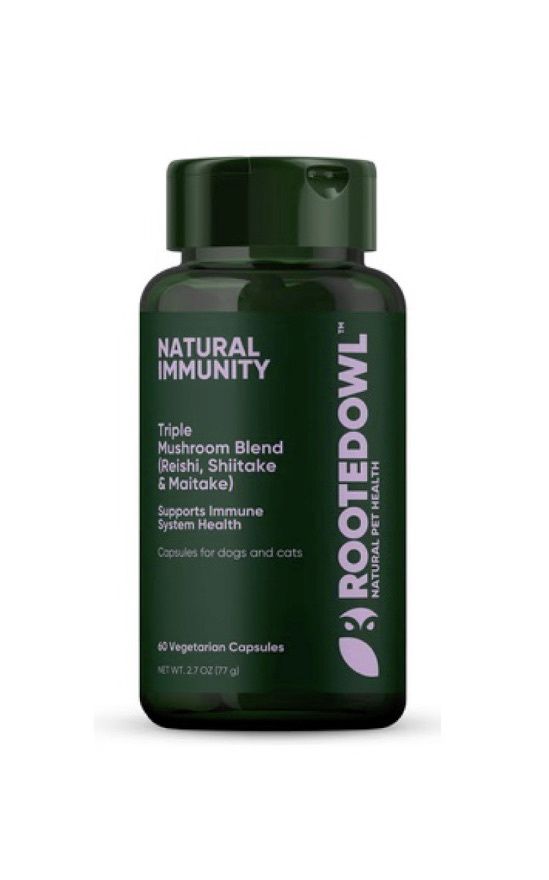 Rooted Owl Natural Immunity