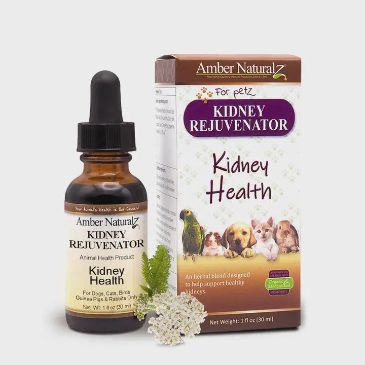 Amber Naturalz Kidney Rejuvenator