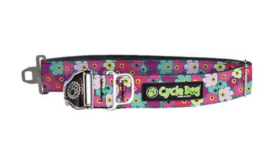 Cycle Dog Collar/Leash - Crazy Cosmos