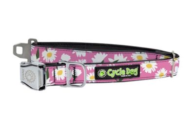 Cycle Dog Collar/Leash - Daisy